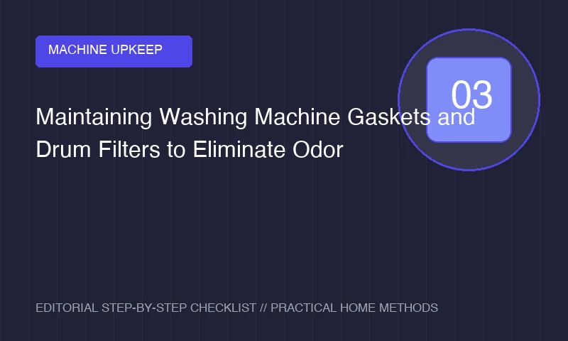 Maintaining Washing Machine Gaskets and Drum Filters to Eliminate Odor